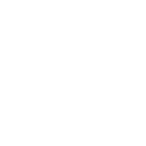 Feminist Therapy Network