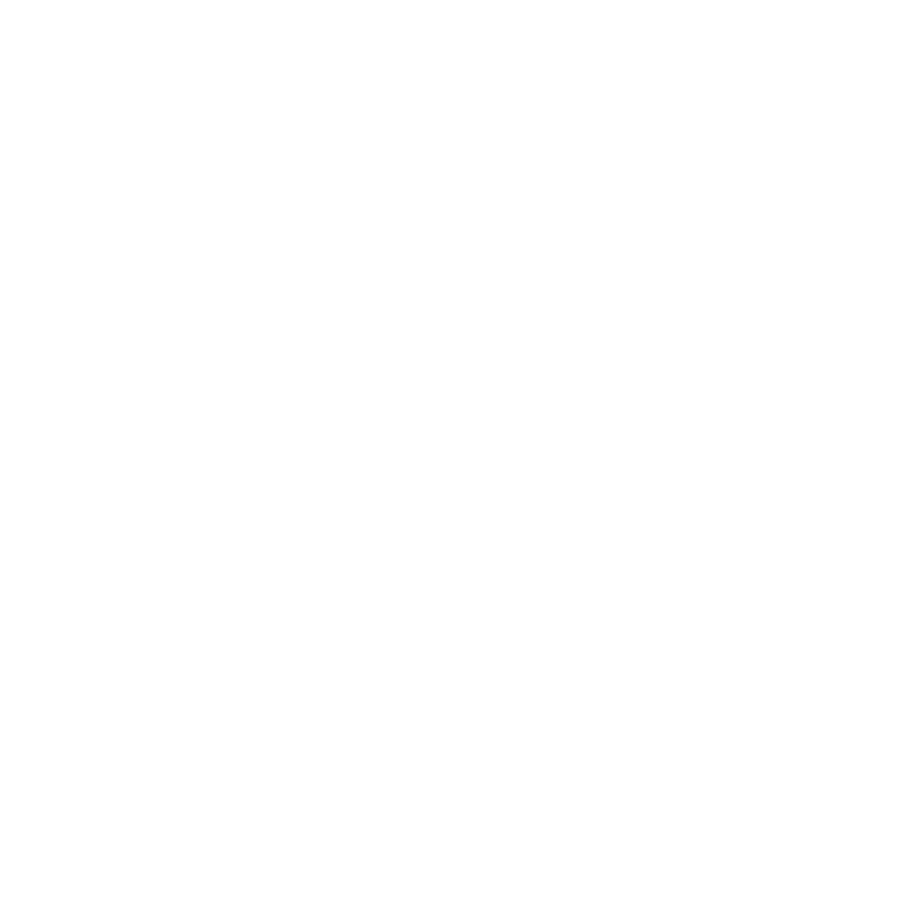 Feminist Therapy Network